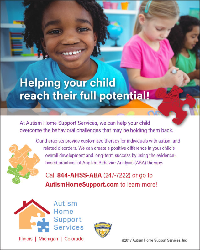 2017 Autism Home Support Services