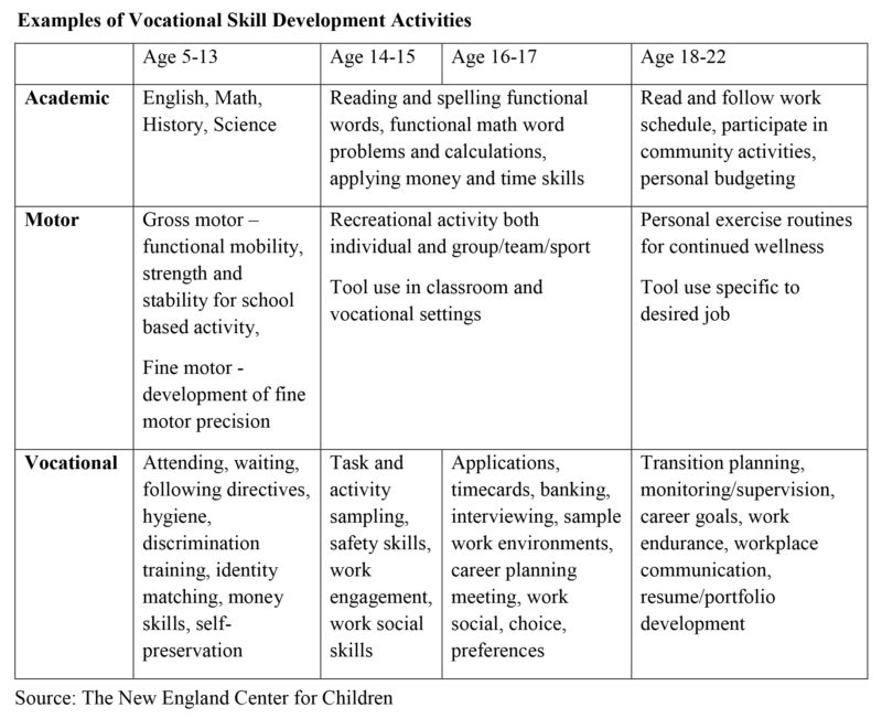 Examples of Vocational Skill Development Activities