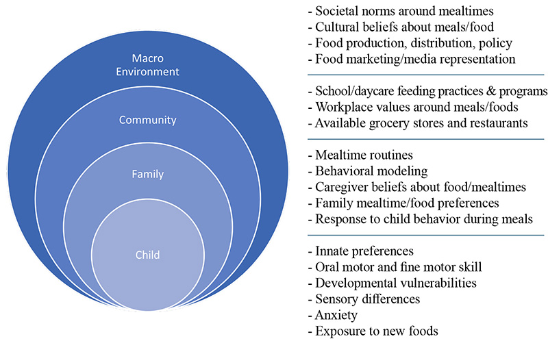 Figure 1: Multisystemic factors that influence eating and mealtime behaviors