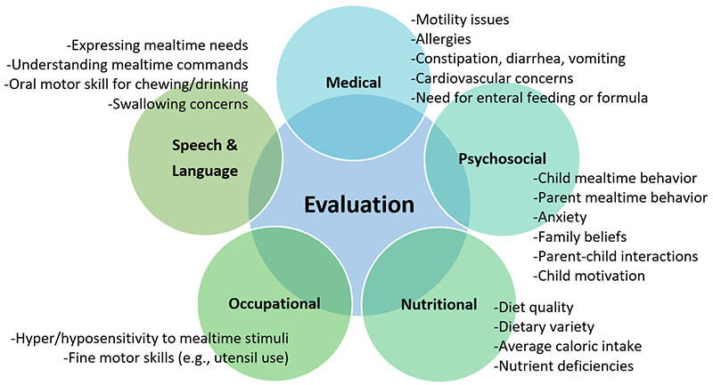 Figure 2: Multidisciplinary Components of a Comprehensive Evaluation for Restrictive Eating